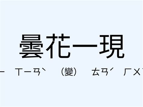 曇花一現的愛情|曇花一現 [正文]